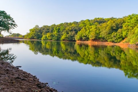 Bird Watching at Charlotte Lake
